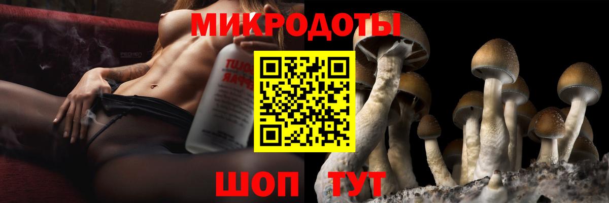 купить закладку  Галлюциногенные грибы GOLDEN TEACHER  Комсомольск-на-Амуре  Вход с VPN  Галлюциногенные грибы прущие грибы 